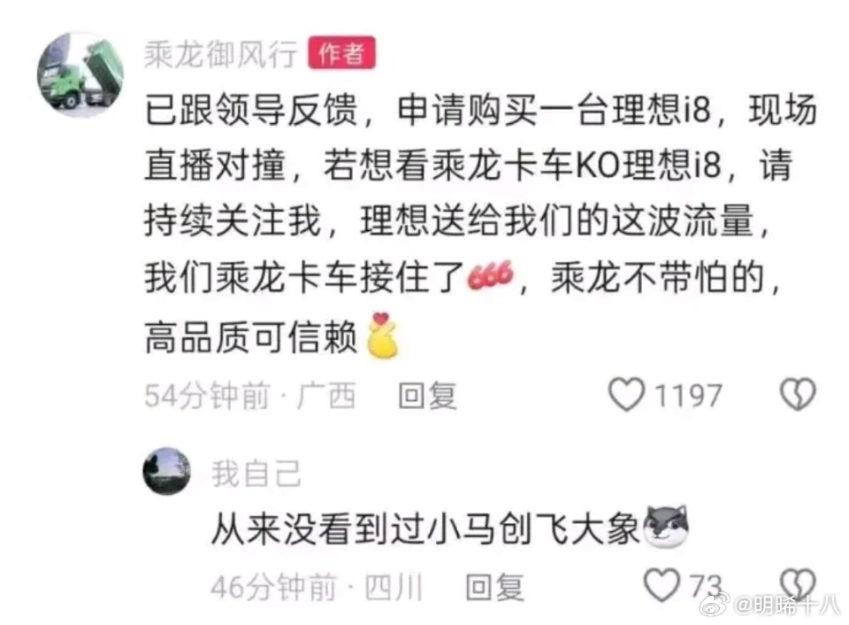 如果乘龙卡车真的购买一辆理想i8进行对撞测试直播，会怎么样？[允悲] ​​​