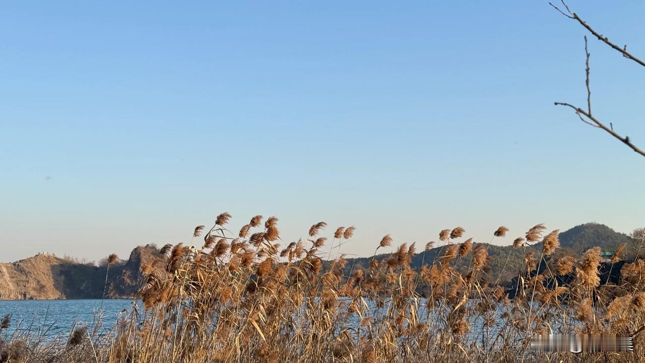 严格来说元旦是标准的西方节日，为何没人反对过这个节？抵制圣诞节214情人节的人都