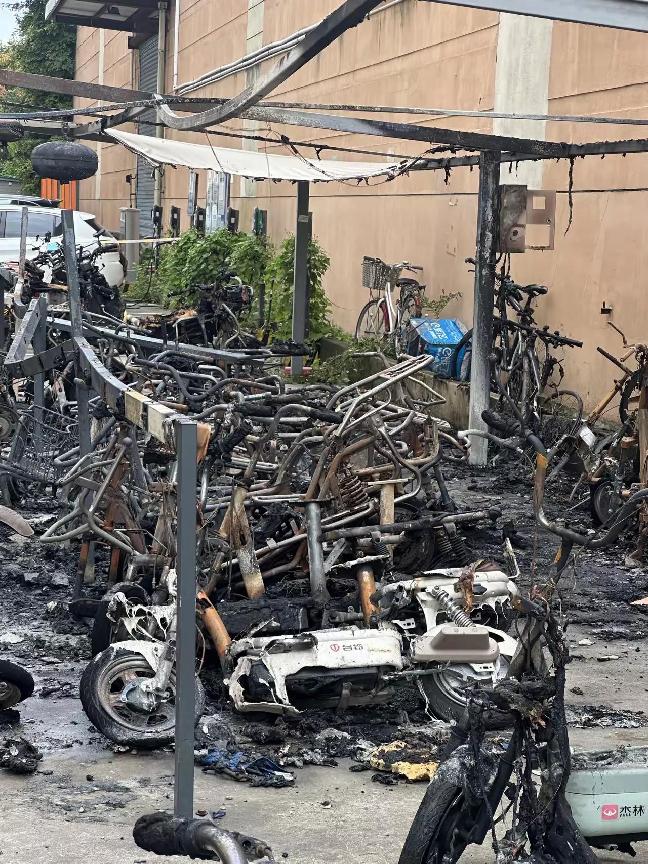 也经常担心电动车一夜起来变成黑的

以我的经验，基本上自认倒霉
首先得能查的出来