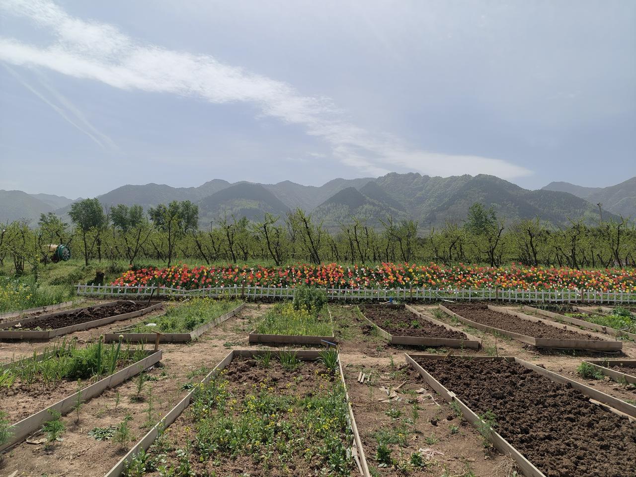 嗨，城里的达官贵人们，你们想去秦岭脚下种菜玩吗？就在子午峪的台沟村，有人在这里建