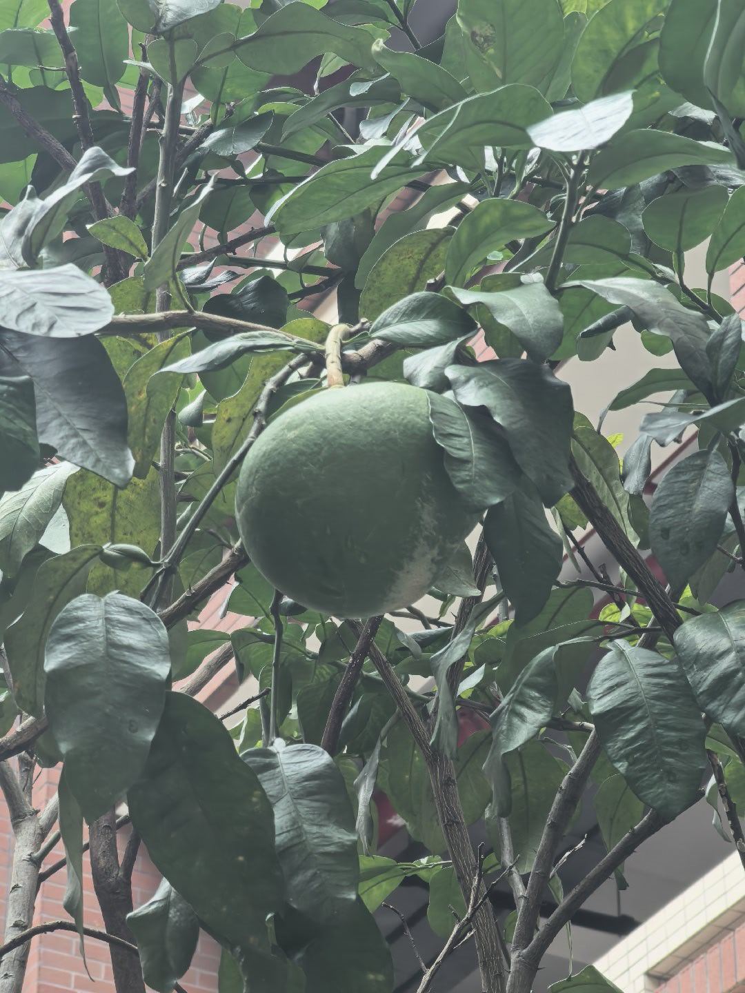 继续去这里学习。早晨老友记！[鼓掌][鼓掌] ​​​