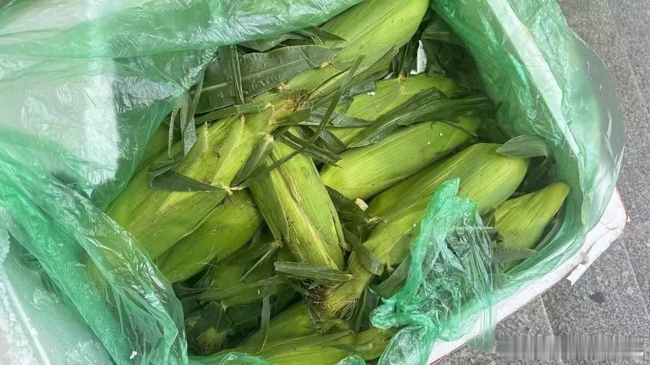 收到了超级鲜可以直接生啃的玉米！！来自大理古生村科技小院的老师同学们[心][爱你