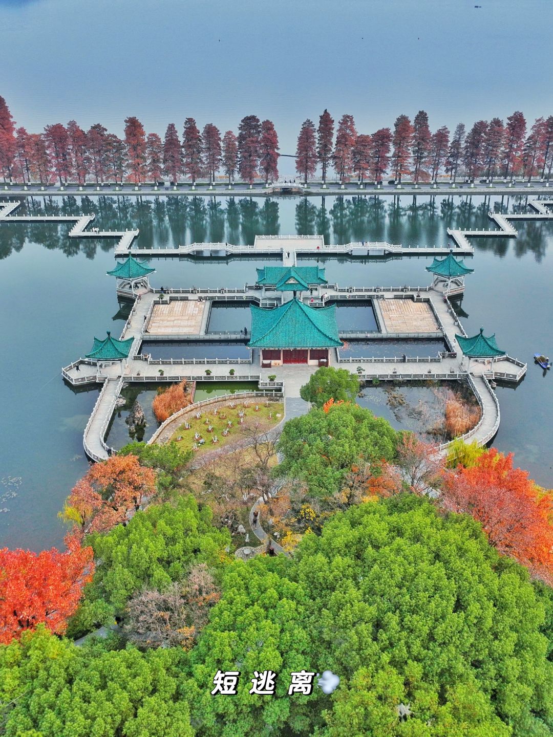 初冬的东湖真的美到犯规🍂快来「短逃离」一下