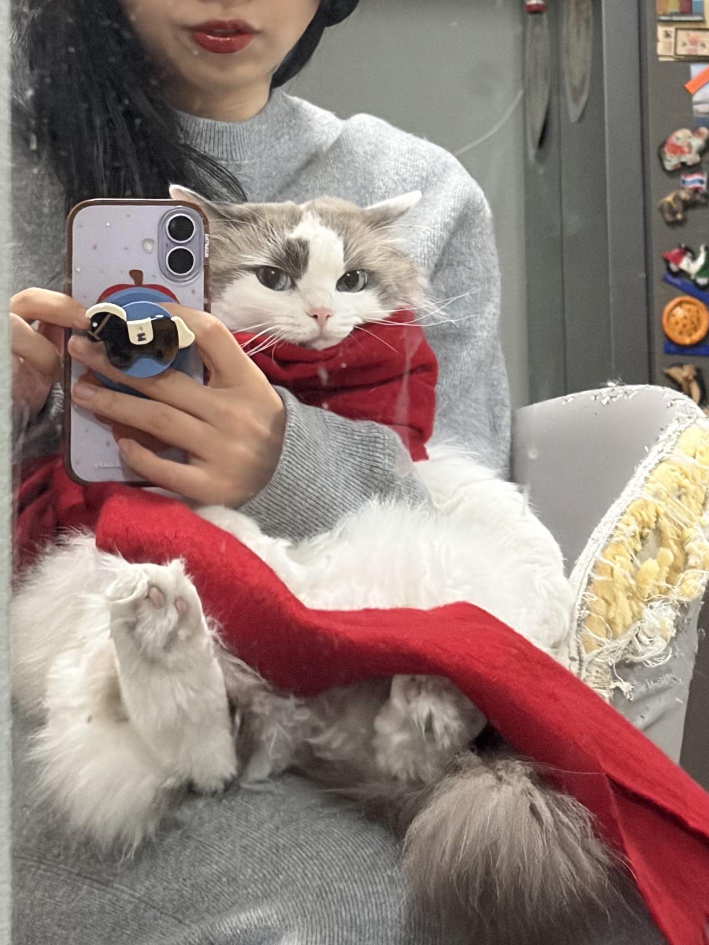 喵：虽然不理解 但表示尊重。