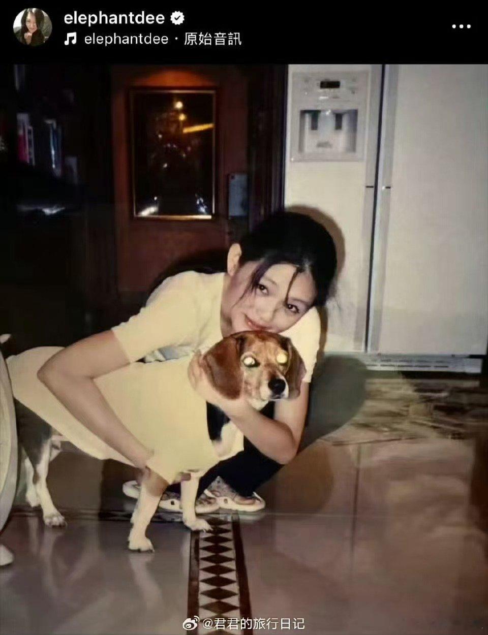 小S发照片回忆大S和五妹娘小S发文回忆大S和五妹娘 以为大S又回来了，养比格犬的