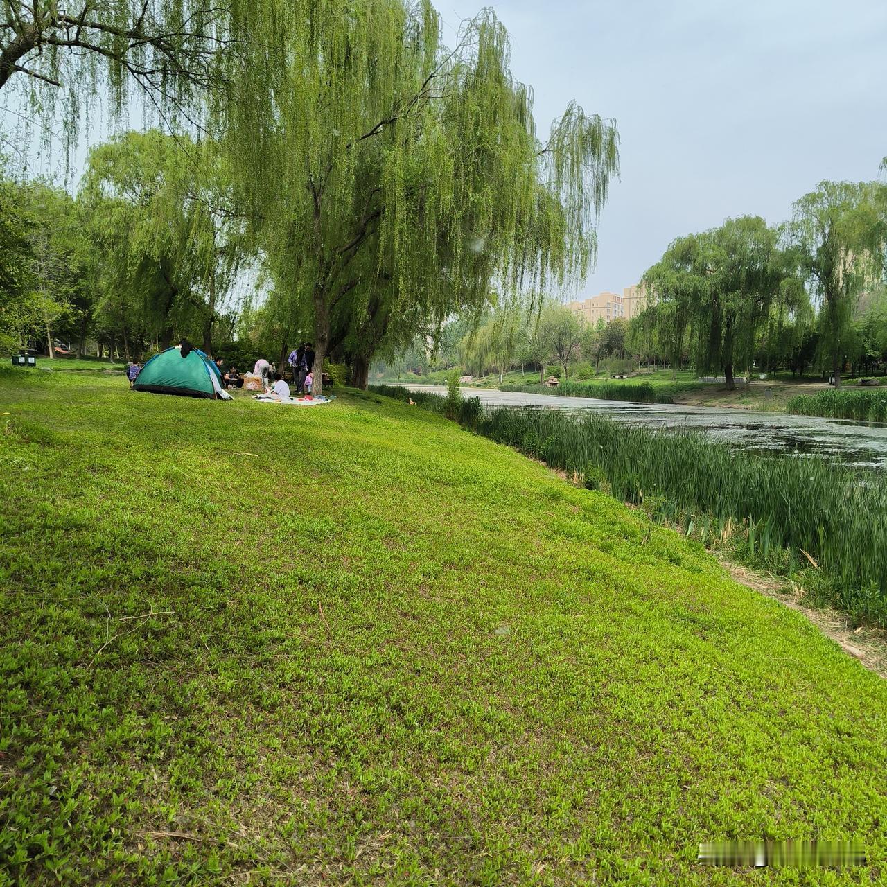 您喜欢跟什么样的人一起玩？

小时候，我喜欢追着比我年龄大的邻居姐姐玩， 她们年