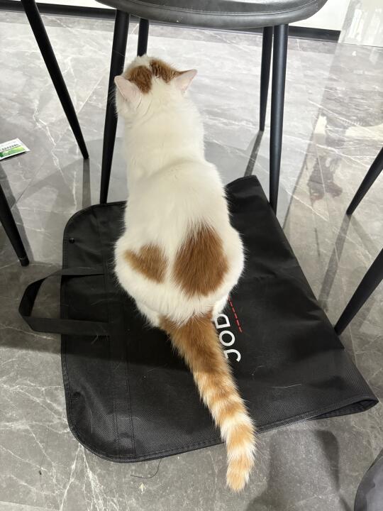 身上长爱心了耶