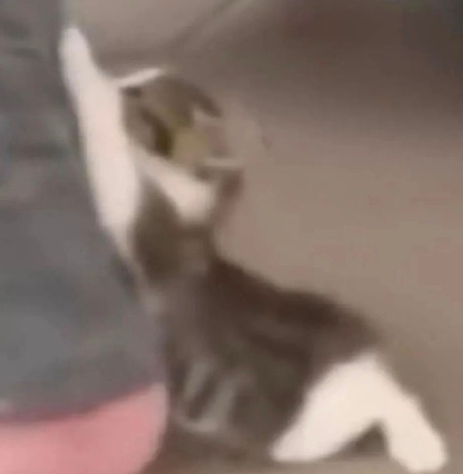 女子搭网约车强抢方向盘酿车祸天呢一定要注意安全吧无论如何不要做出这么危险的举动