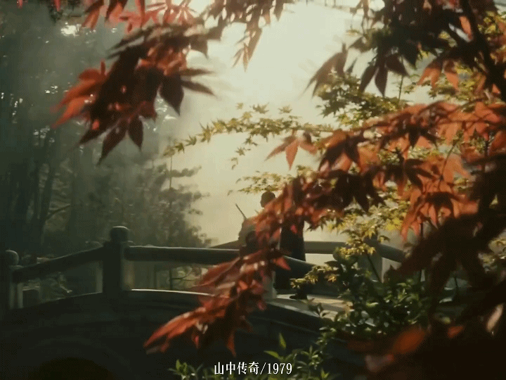 电影里的中式意境美学。 