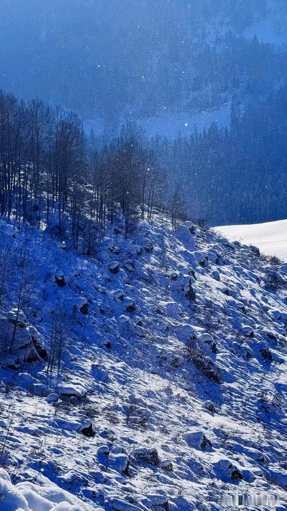 喀纳斯的雪，是人间限定浪漫 ❄️
       风携雪至，山河尽染。冬日喀纳斯褪