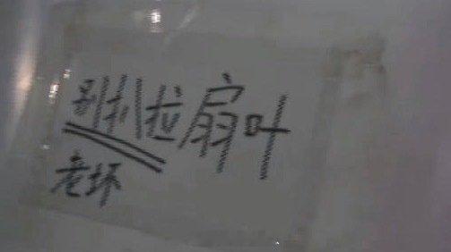 肖战小城良方杀青vlog纯血东北银 