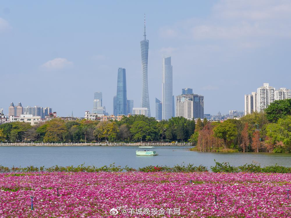 #早安# 新的一天不是用来赶路的，是用来一点点走近自己的。早安。 