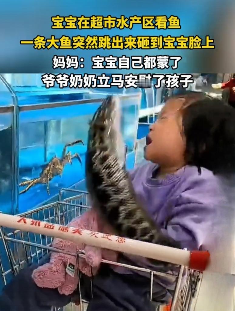 超市奇遇：鱼“跳”上门，宝宝当场懵圈
 
一条鱼的突然“越狱”，把一个本是轻松的