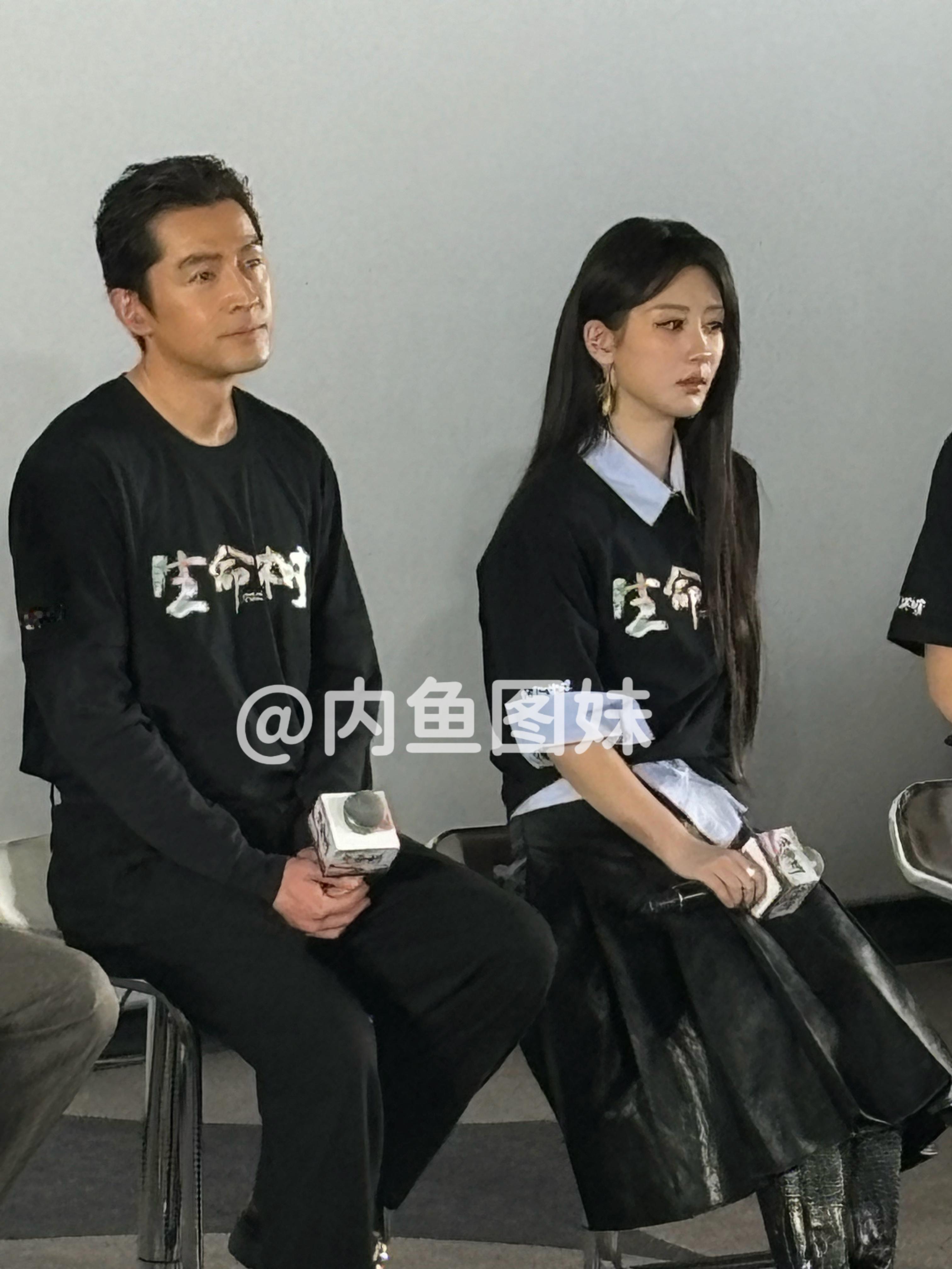 杨紫  今日《生命树》发布会，杨紫生图🈶相当漂亮，肉眼看更美。电视剧生命树