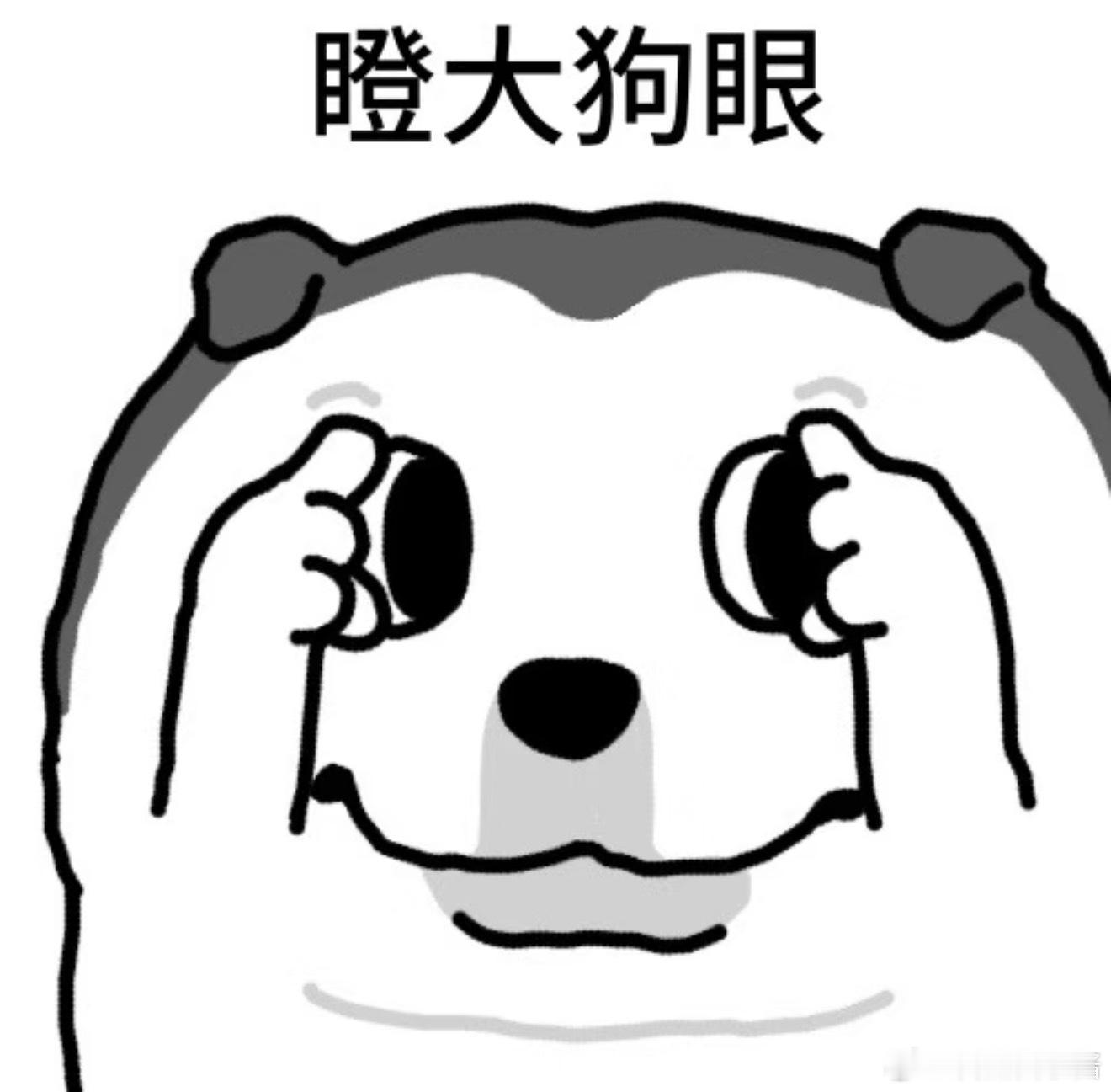 听银那个……给我看笑了……不是啊，虽然里面也有比较好看的镜头，但是有些真的很离谱