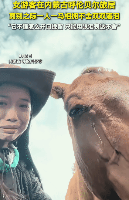 “太有灵性了！”内蒙古呼伦贝尔，女子哭着和一匹马告别。没想到，马也流泪了。她问马