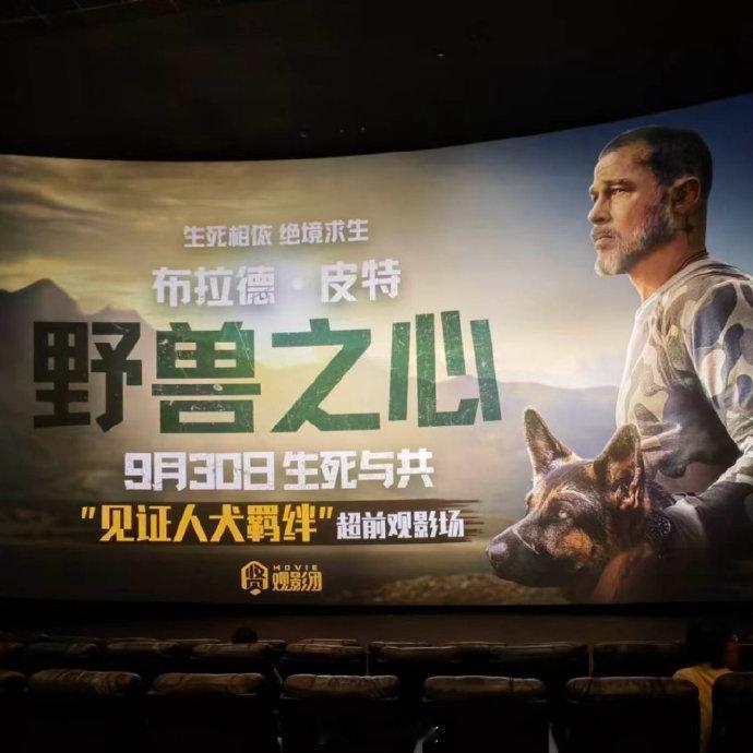 电影野兽之心皮特新片野兽之心口碑《野兽之心》没有狂轰滥炸，只有一人一狗在阿拉斯加