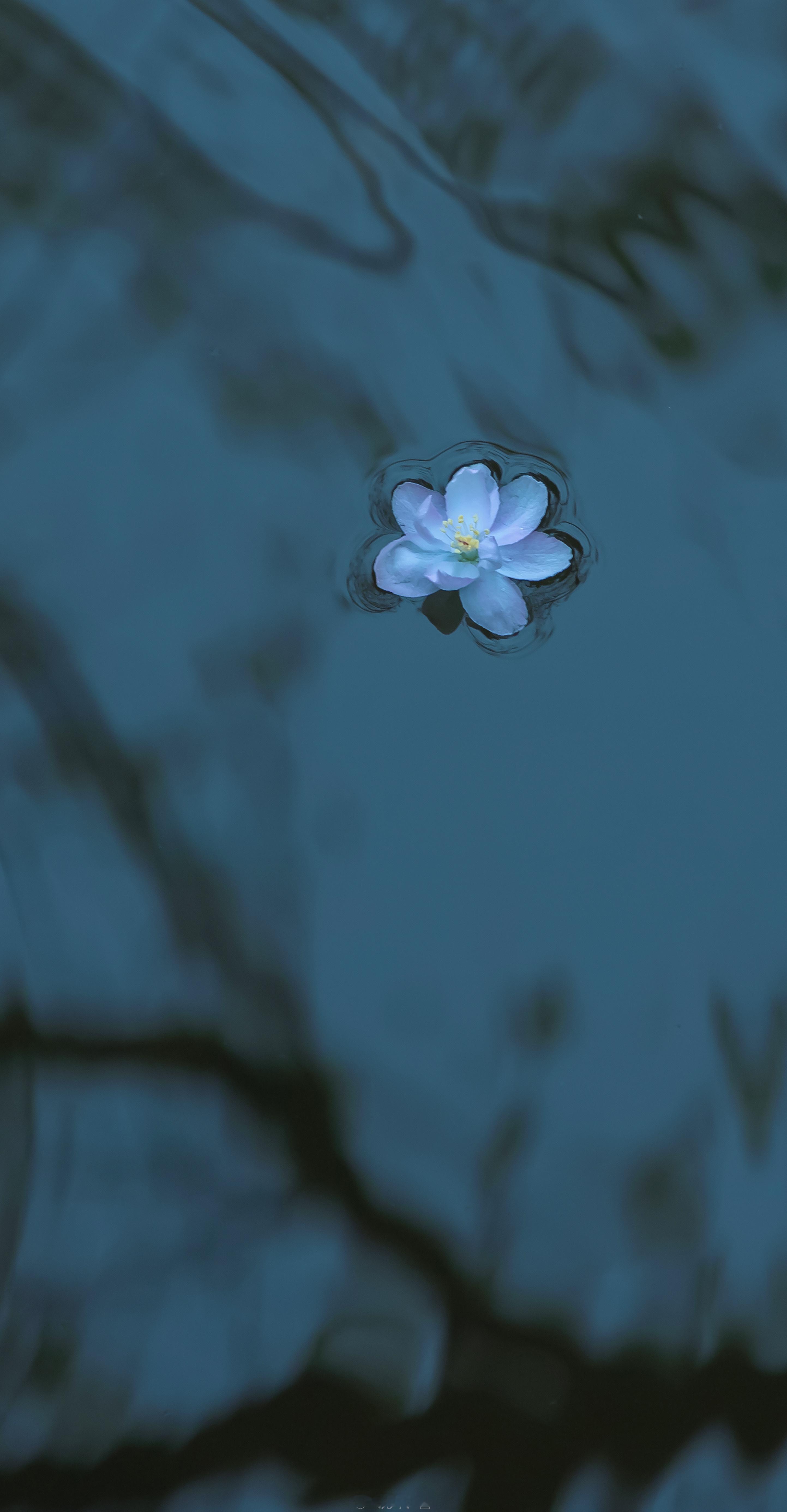 修己，以清心为要。涉世，以慎言为先。｜李叔同 