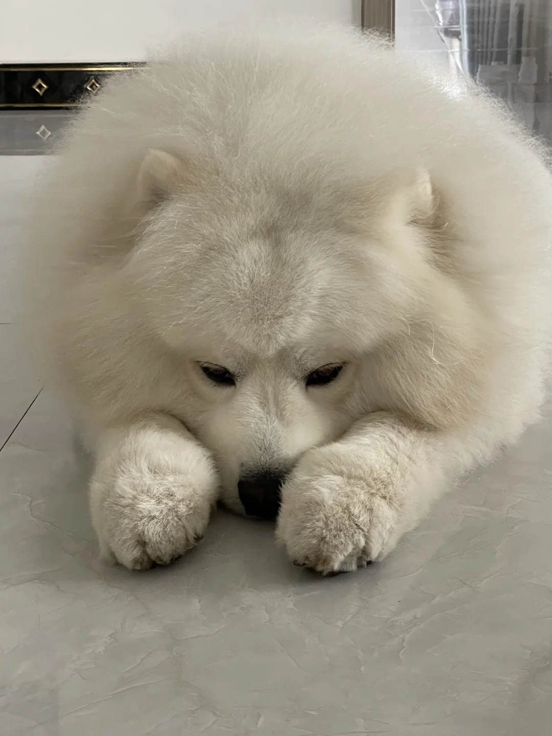 俺不凑 俺香香的