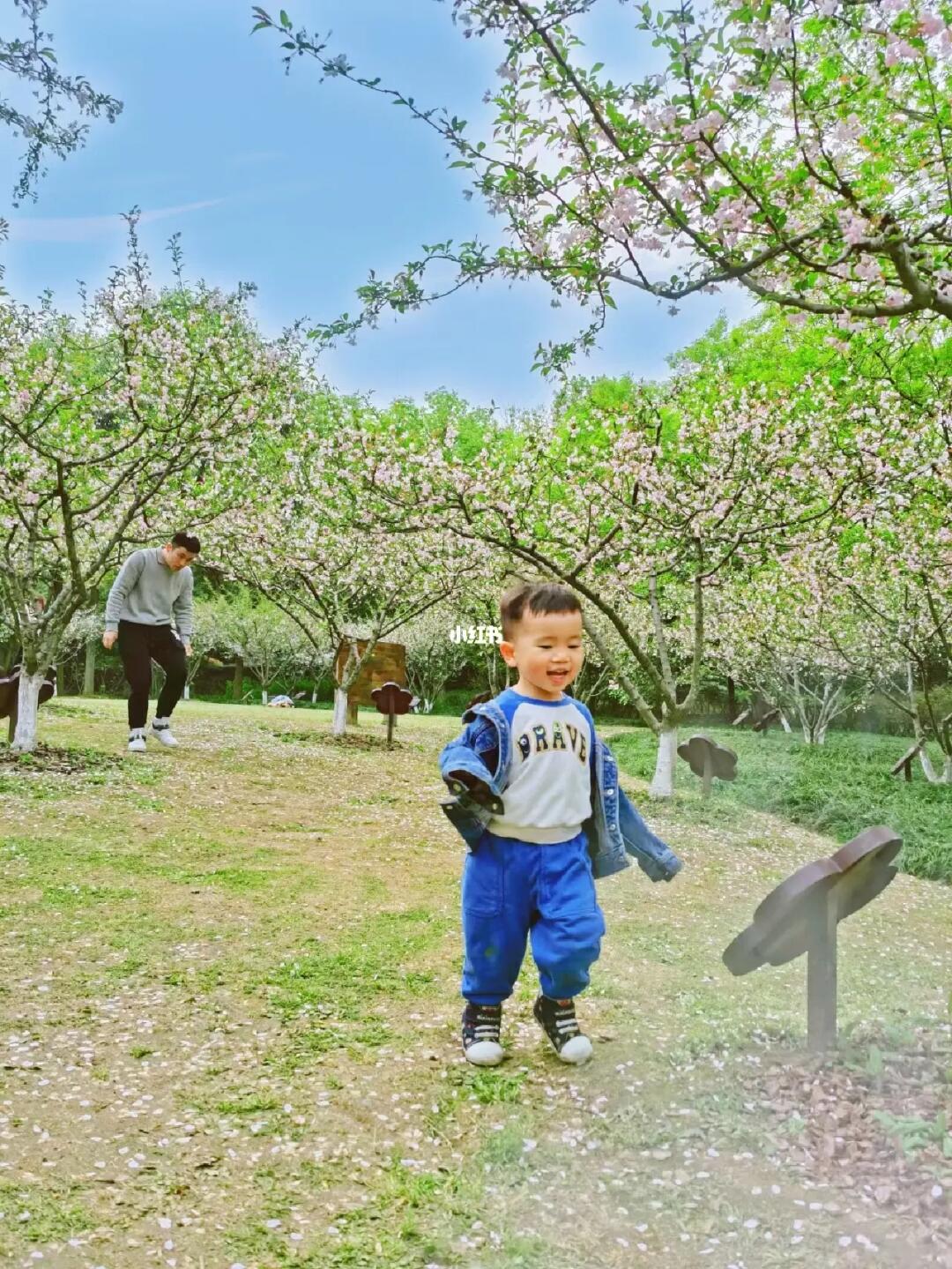 杭州旅游/杭州西湖边2-4月赏花详细攻略