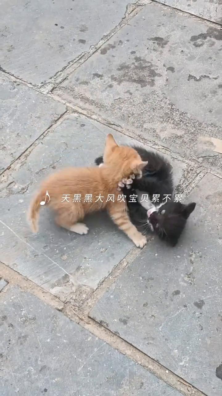 天黑黑大风吹，宝贝累不累？不累，我是快乐小宝贝。天黑黑大风吹，宝贝不怕累。风雨阻