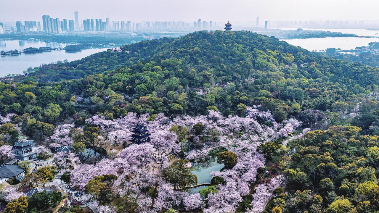 🌊无锡太湖边，藏着一家宝藏酒店——鸿庆楼，人均3天2晚不到三百，吃太湖三白、麻