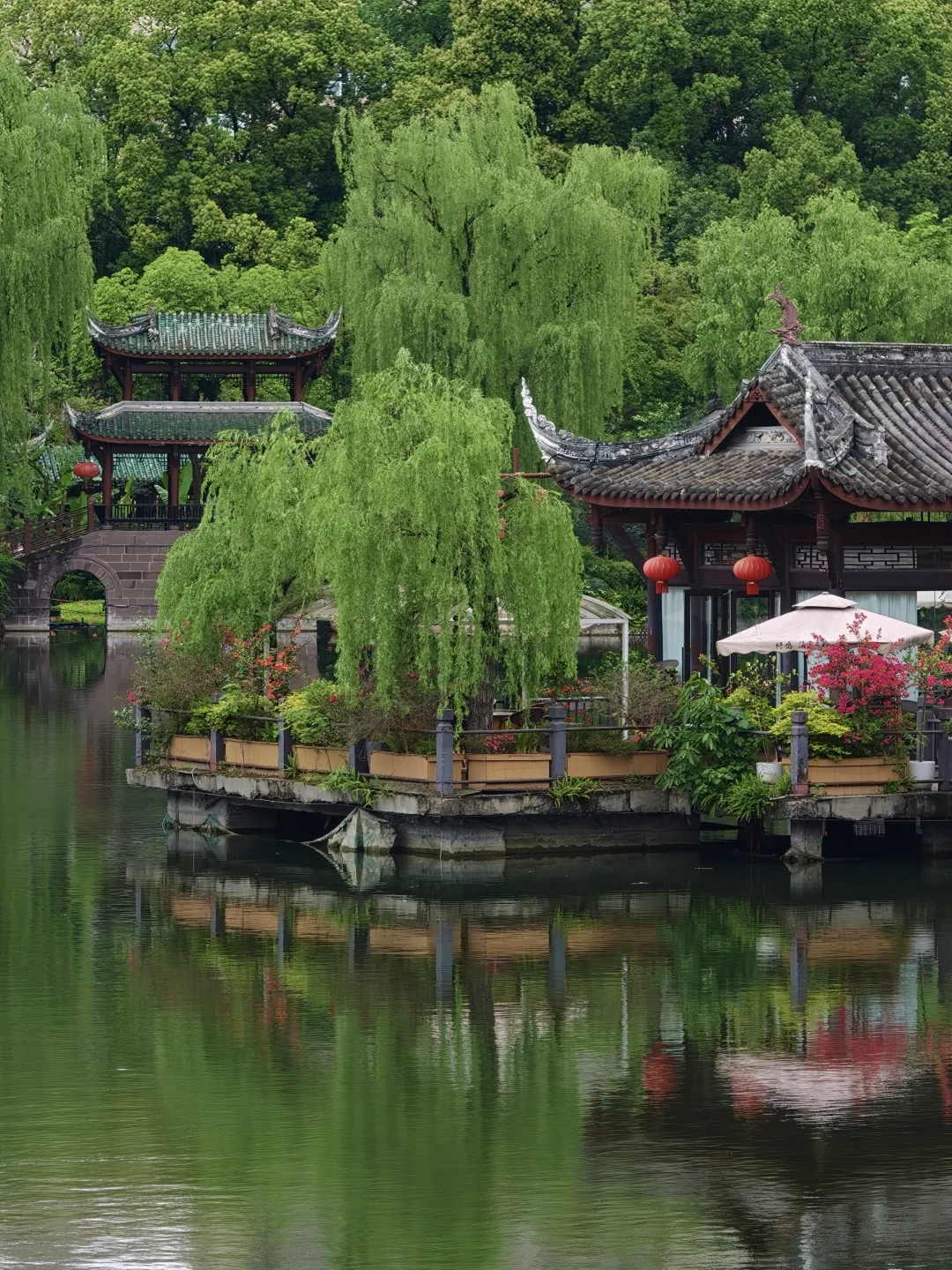 在成都！拍到了现实版言叶之庭🍃