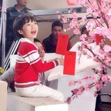 贞暖热品影视剧