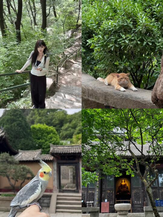 🍃上春山 净业寺🐈