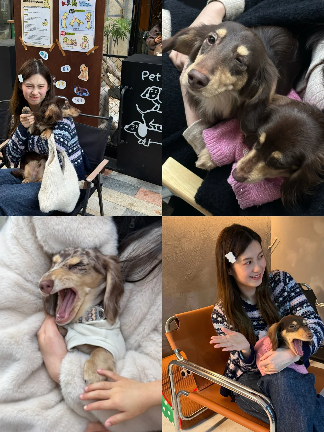 快乐腊肠日🐕🌭