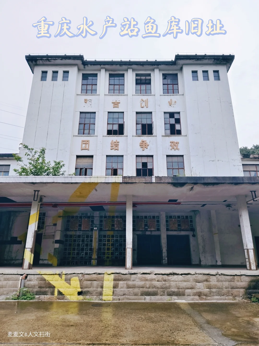 【九龙坡】80年代千吨鱼库+童年冰糕批发站