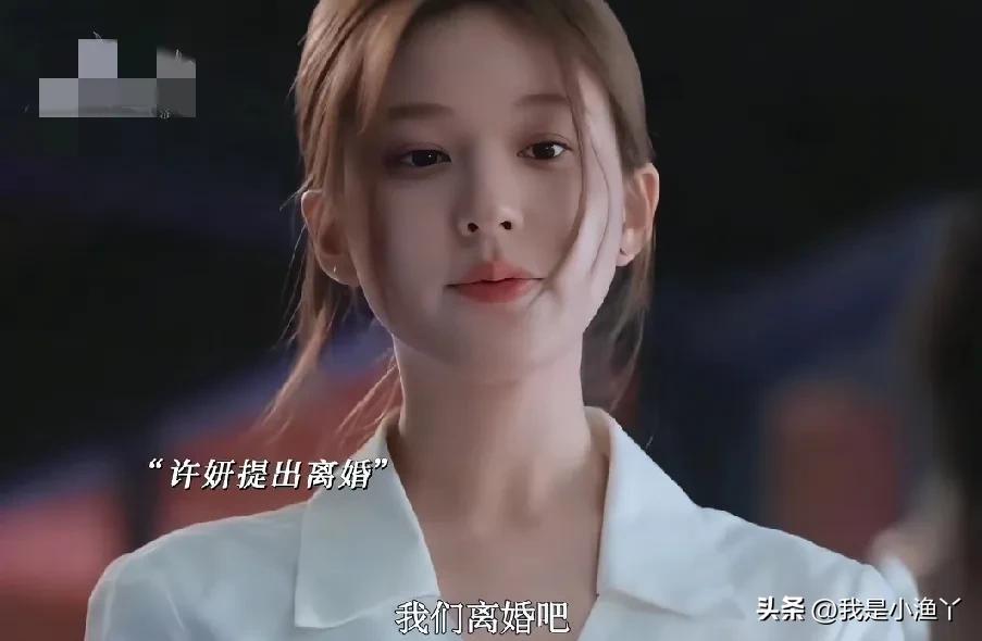 直到许妍提出离婚沈皓明甩出许妍的造假记录的那一刻，才明白沈皓明根本就不爱许妍，他