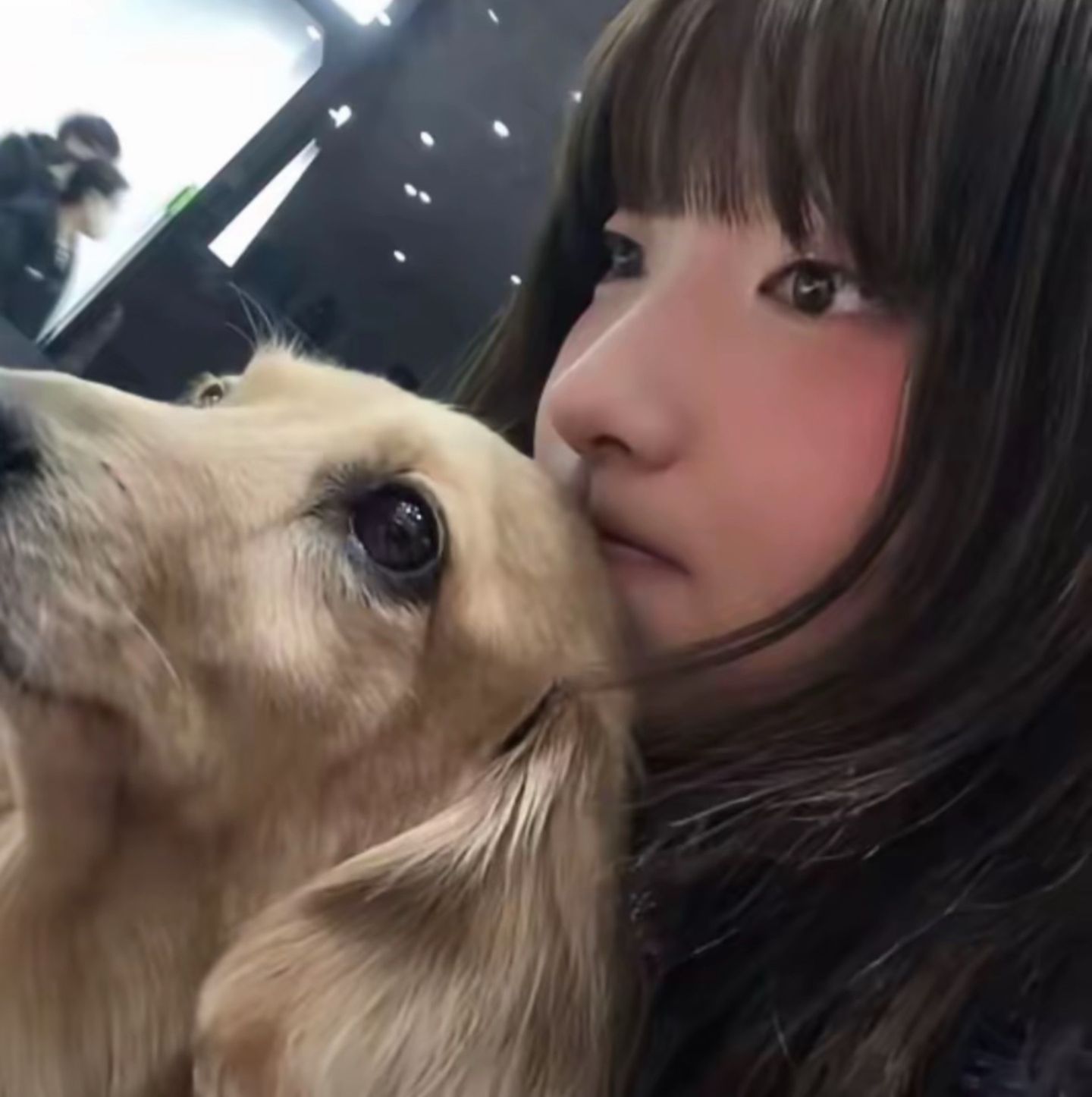 𝐖𝐞𝐂𝐡𝐚𝐭女生头像｜ins风｜氛围感｜无水印｜权威头像 