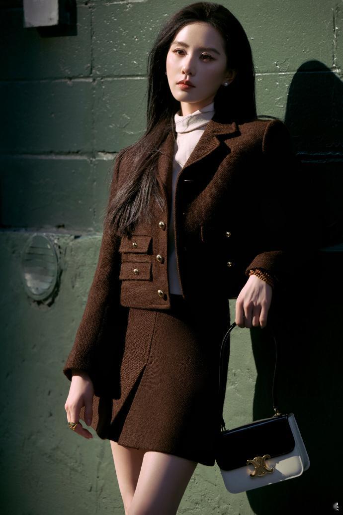 刘诗诗棕色裙装look   刘诗诗都市摩登大片 刘诗诗总能将经典穿出自己的味道，