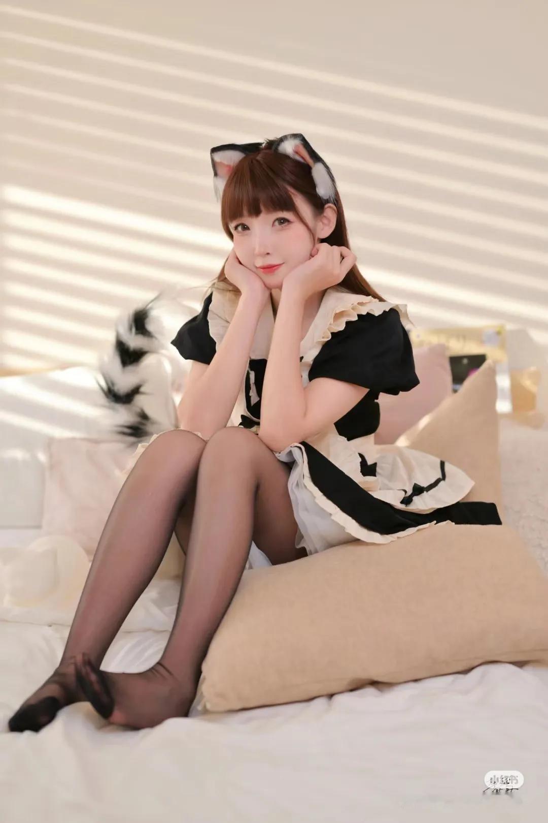 可爱猫