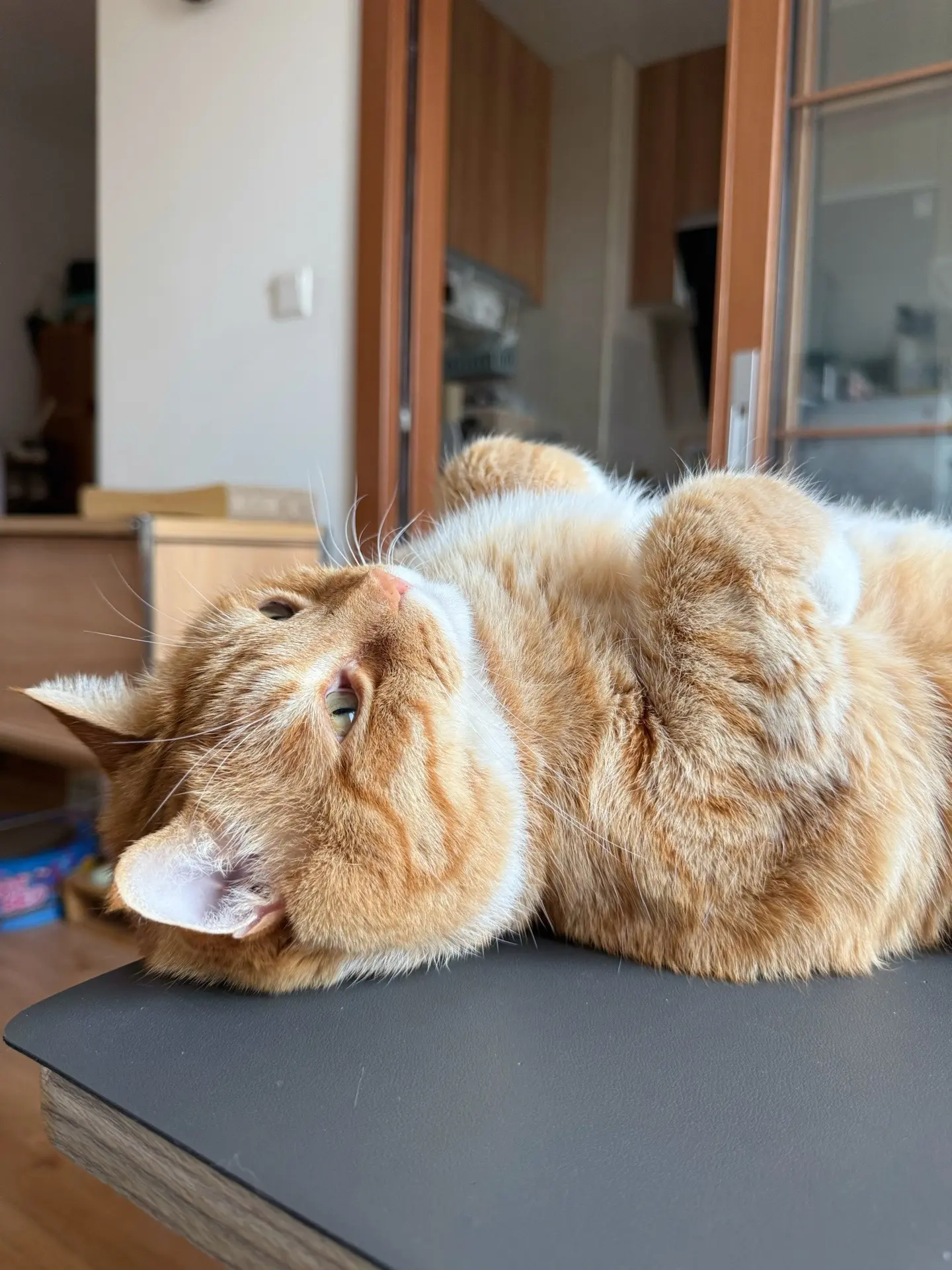 眼神逐渐迷离像个小孩一样睡着了。