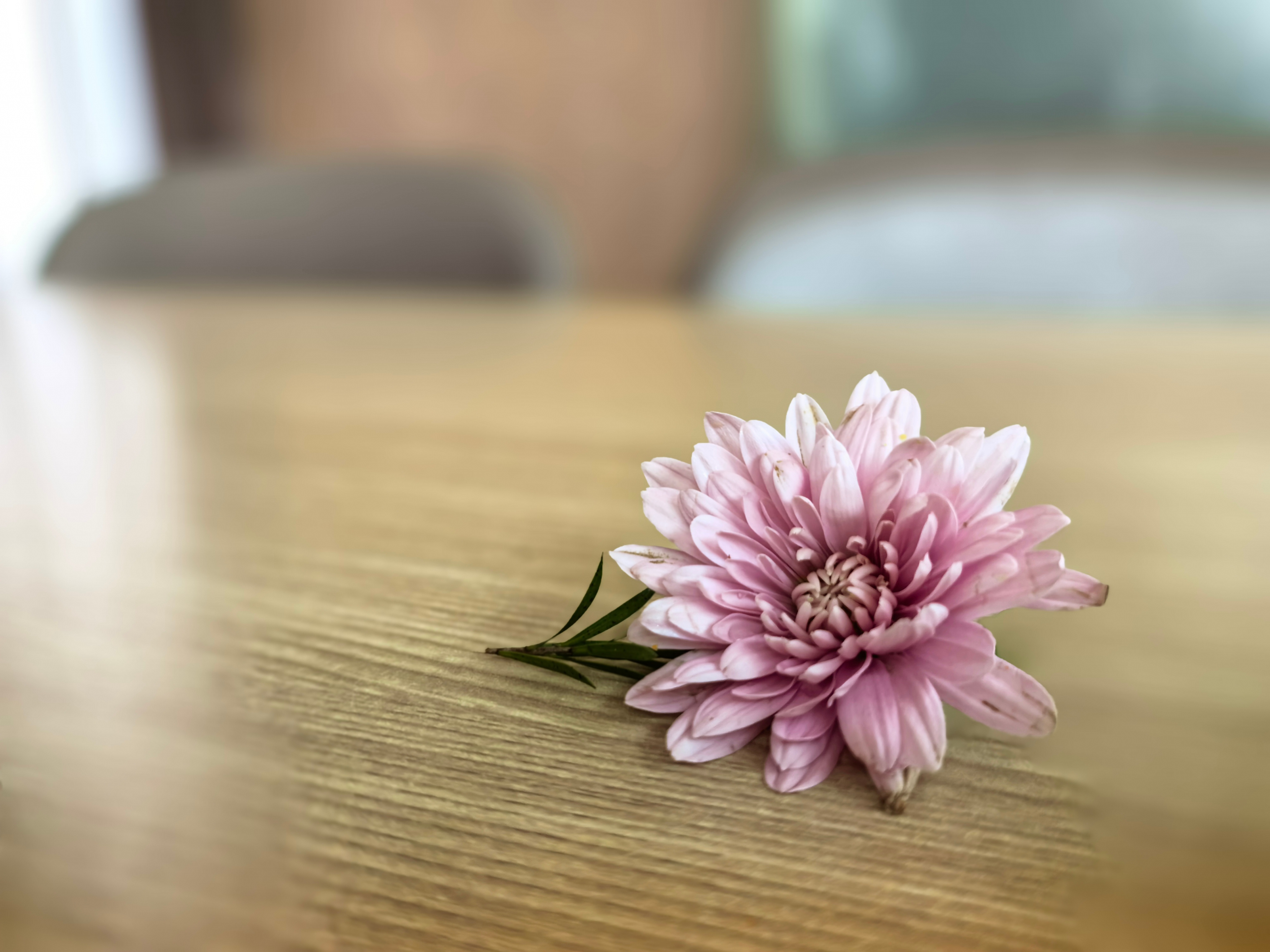 闲话投资1175孙子曰：不动如山。个人随笔：1. 孙子用“不动如山”，强调坚定沉