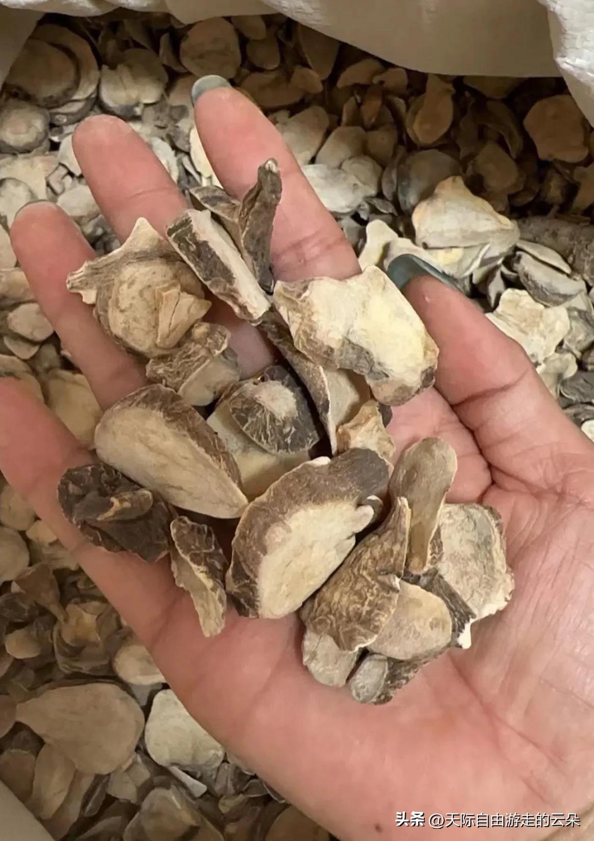3毫克致死！央视刚曝光，亳州连夜出手！这种“毒药材”千万别再买

1元链接背后，