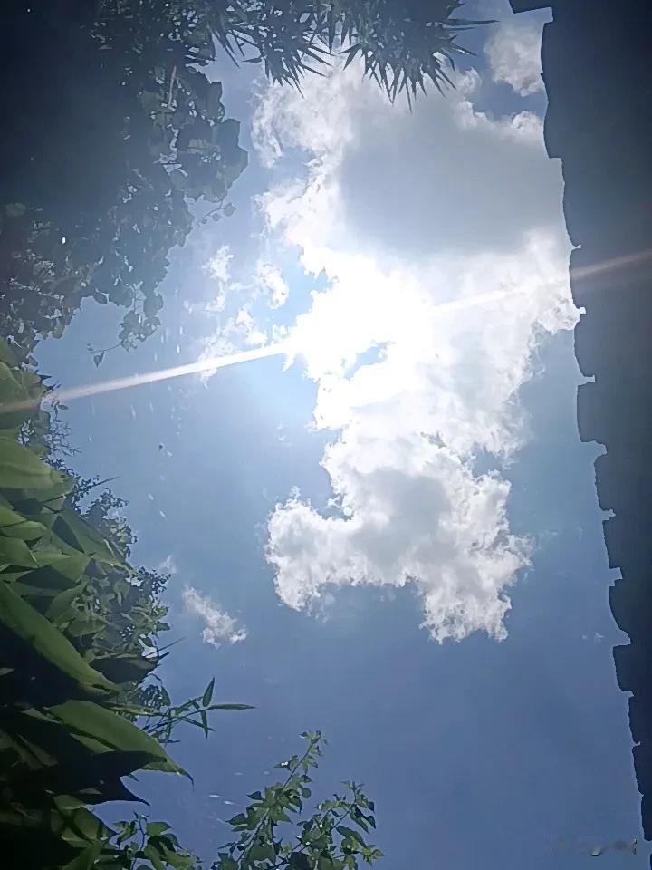 夏日生活随记