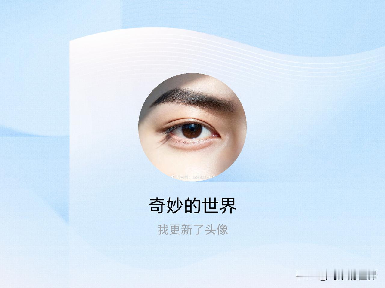 快来看看我新换的头像吧