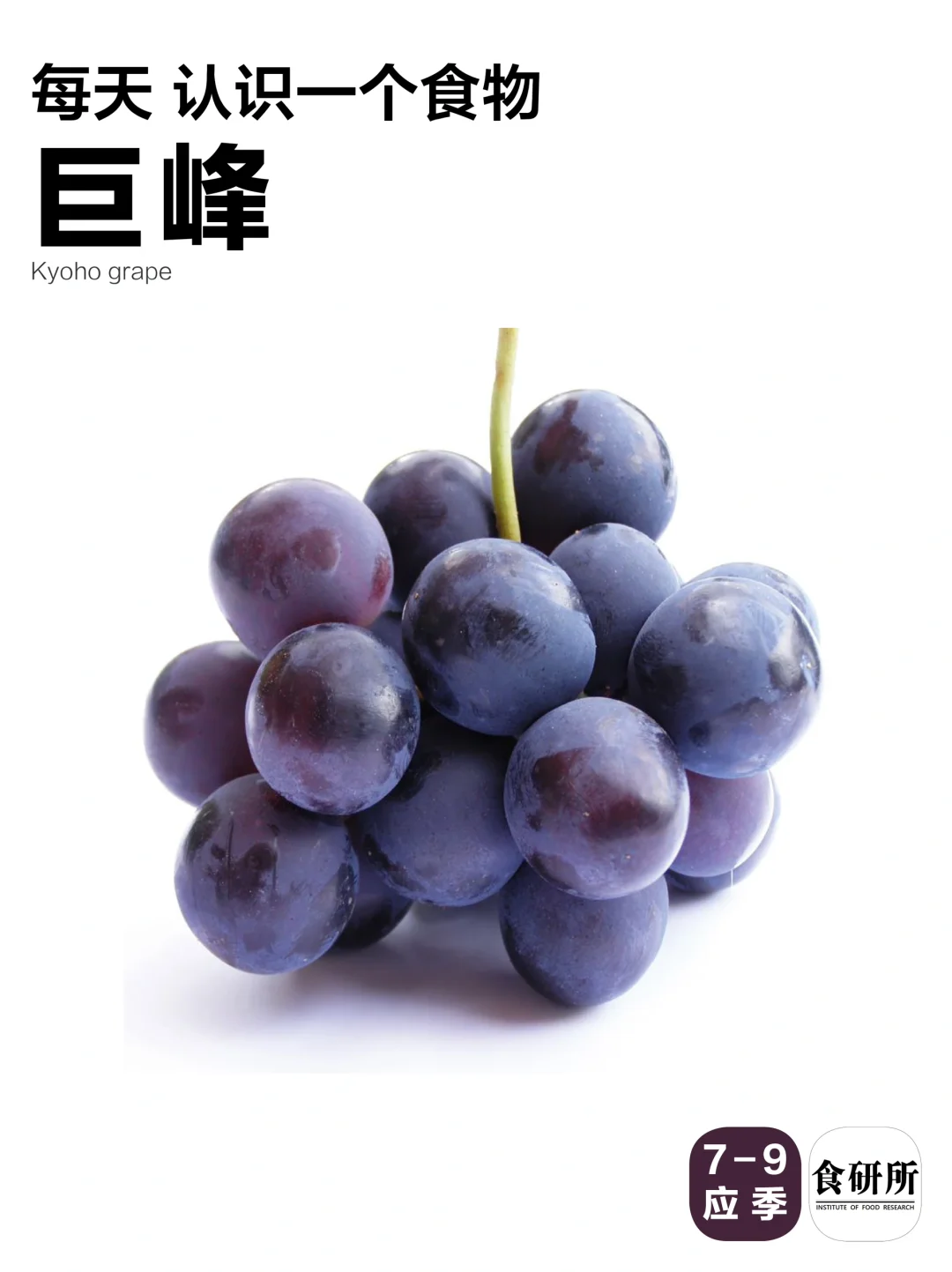 如何挑一串🍇巨甜🍇的巨峰🍇