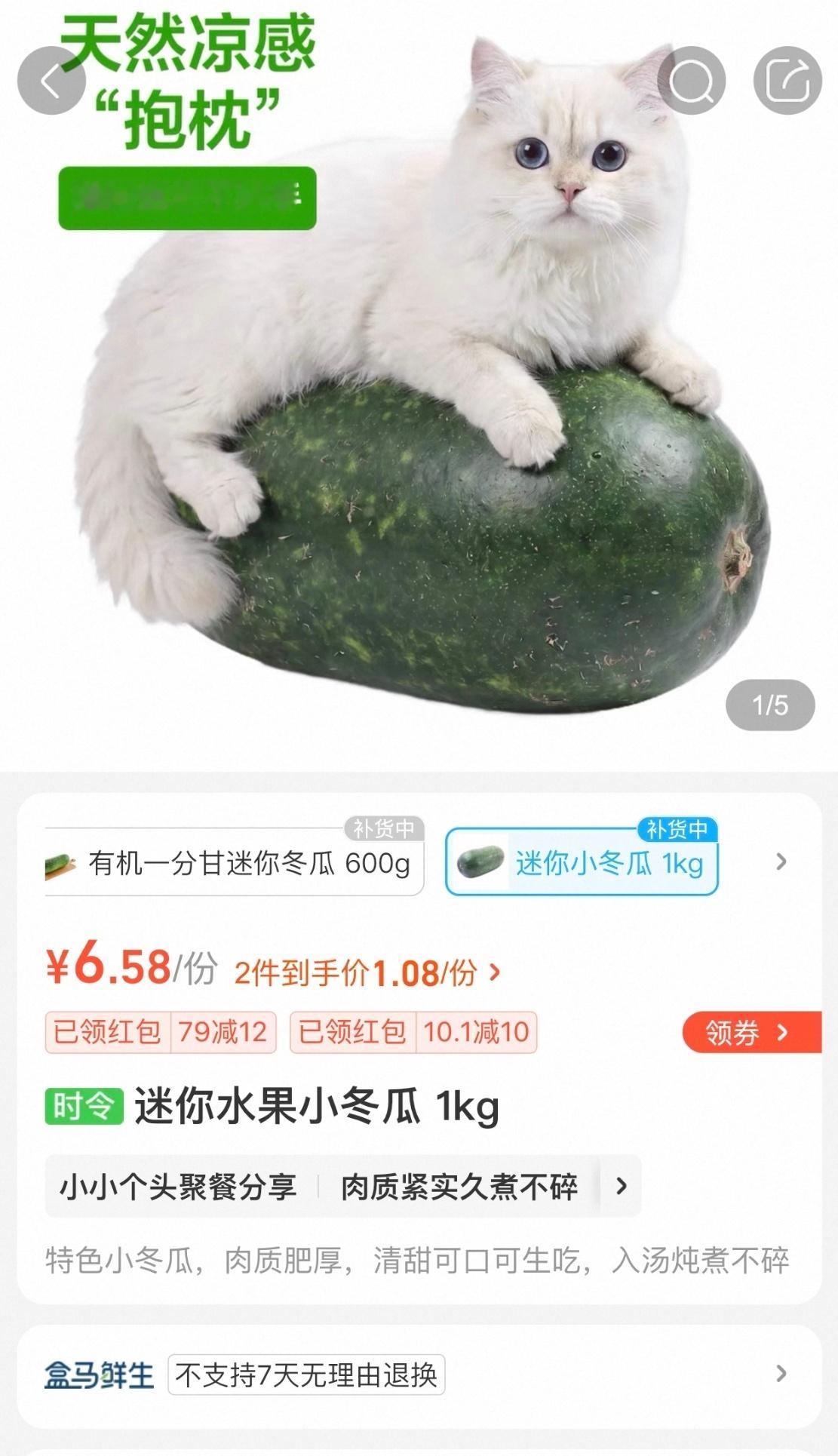 盒马卖冬瓜 