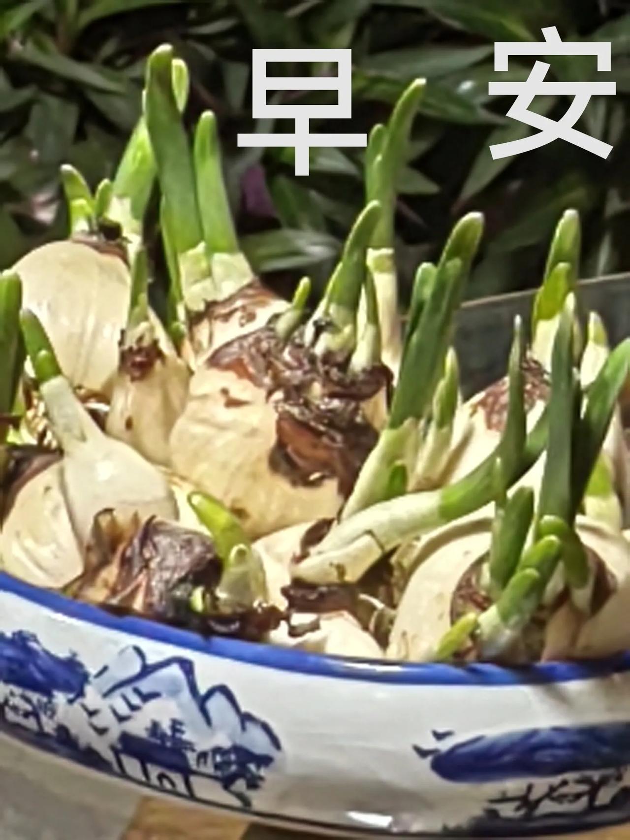快乐的一天开始了。