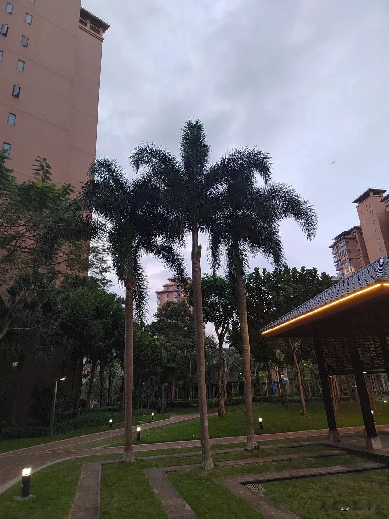 海南终于封关，一阵狂喜。封关前总有梦想，幻想着有很多工作机会，能够提高自己的收入