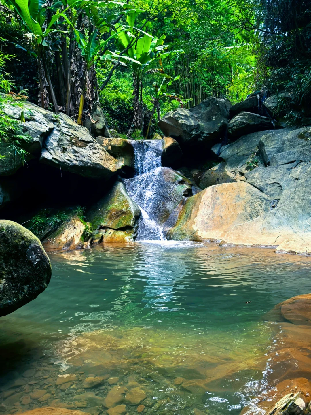 只知道前星村？重庆超美雨林溯溪免费线路！
