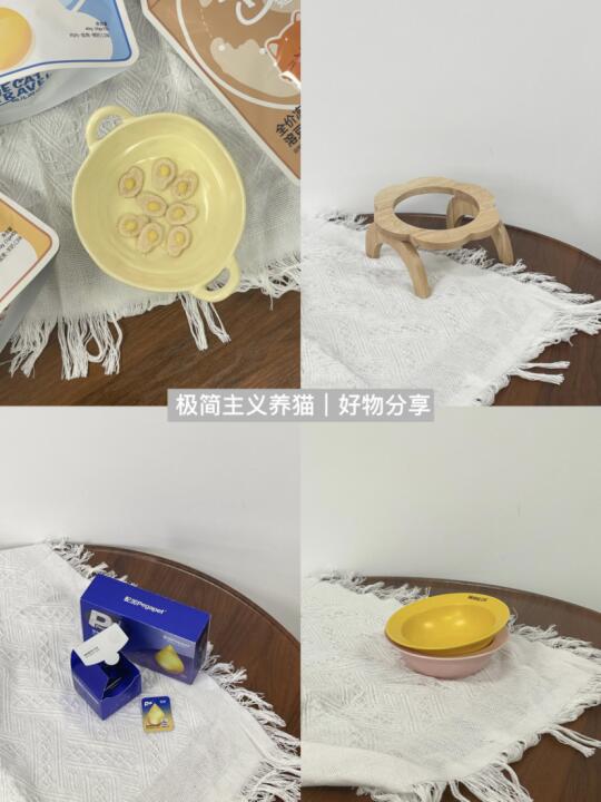 🐈养猫极简主义的好物分享