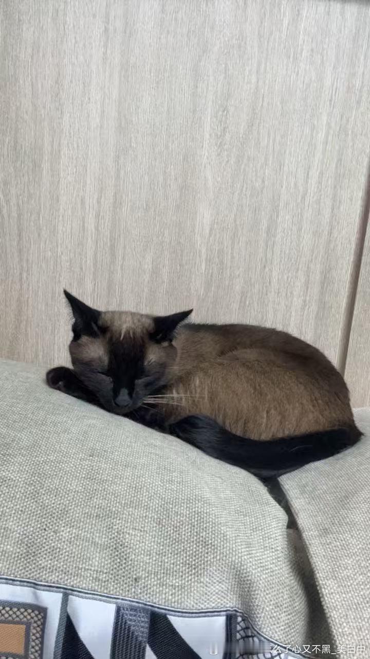 晚安逼罗 ​​​