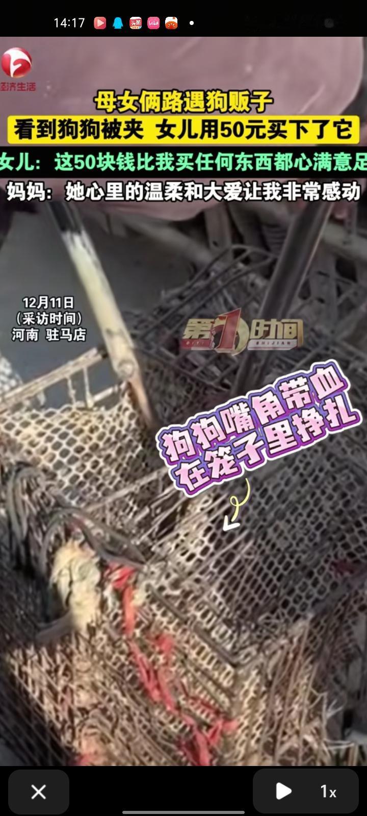 12月9日，驻马店市遂平县。母女俩骑车在路上遇到狗贩子，狗子在笼子里被夹的都是血