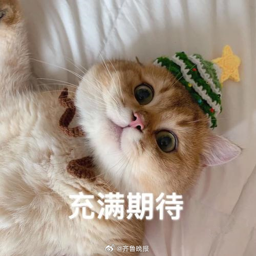#早安# 要有大大小小的期待，生活才不会百无聊赖