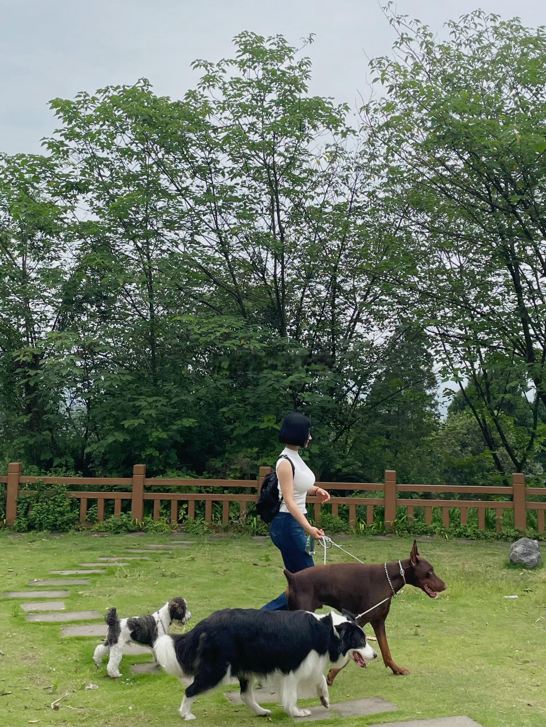 溜达溜达 ​​​